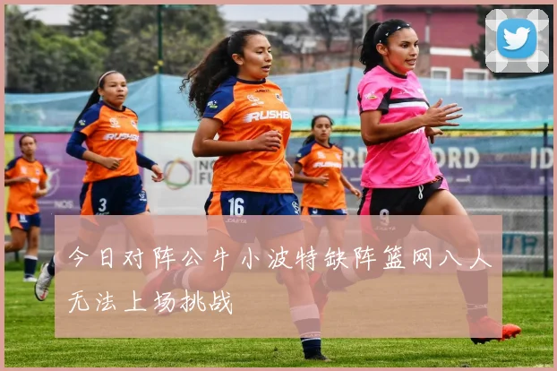 今日对阵公牛小波特缺阵篮网八人无法上场挑战