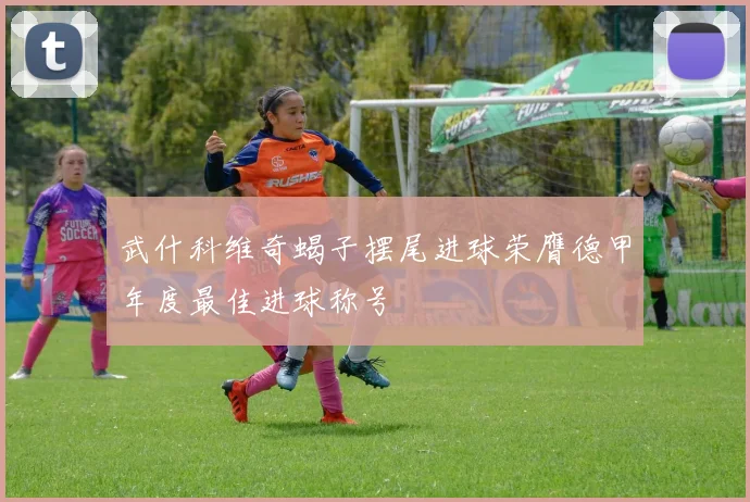 武什科维奇蝎子摆尾进球荣膺德甲年度最佳进球称号